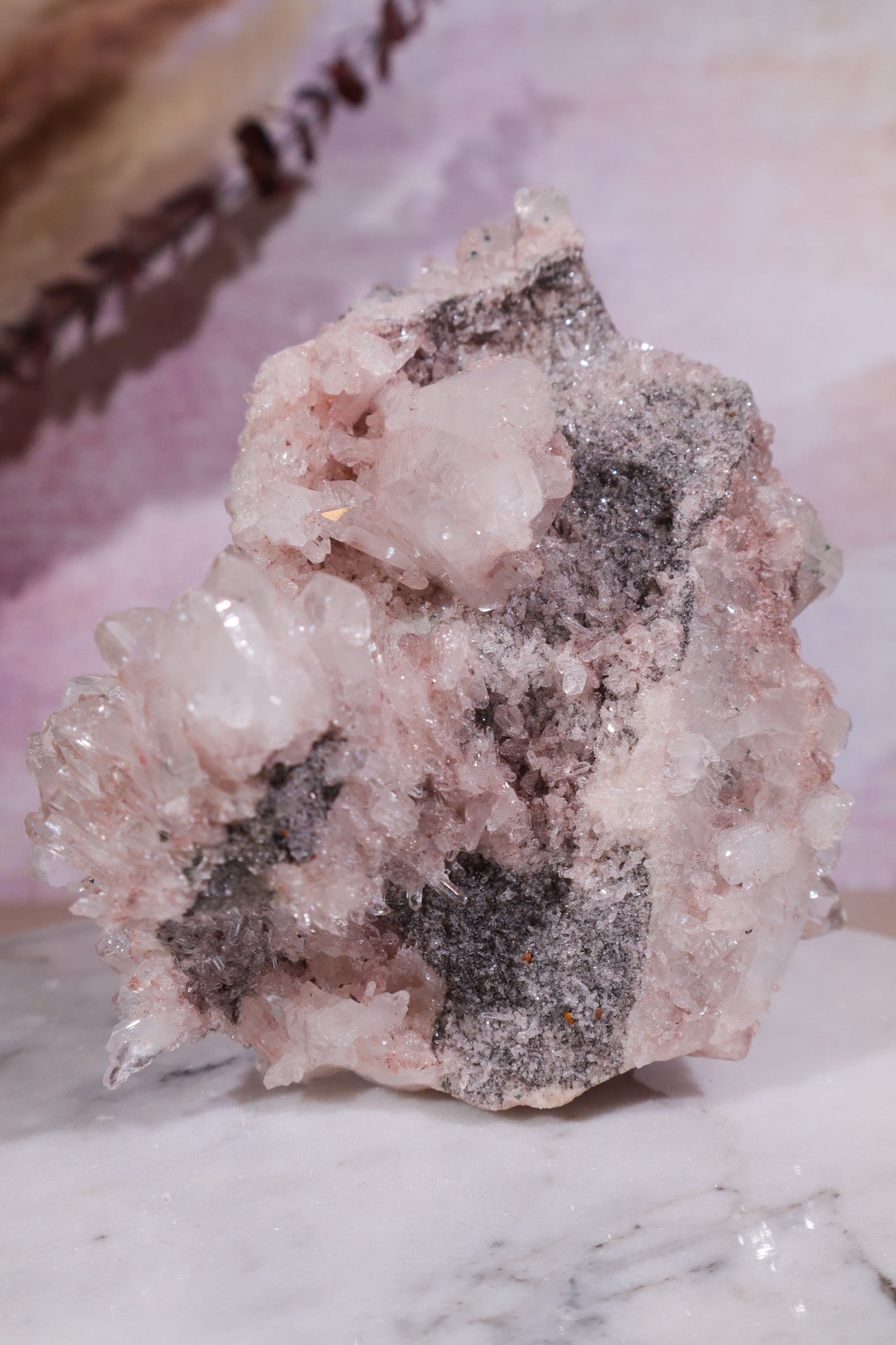 Pink Lemurian