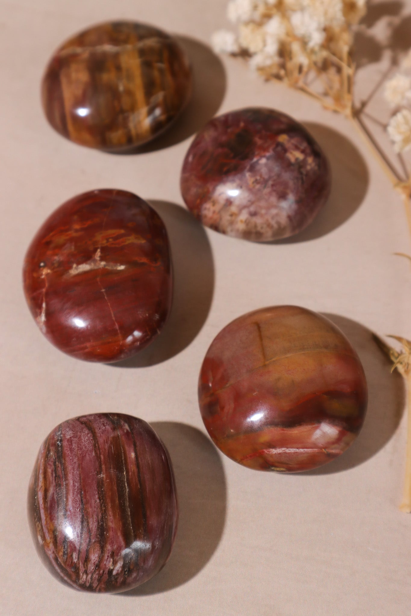 Petrified Wood Pebbles