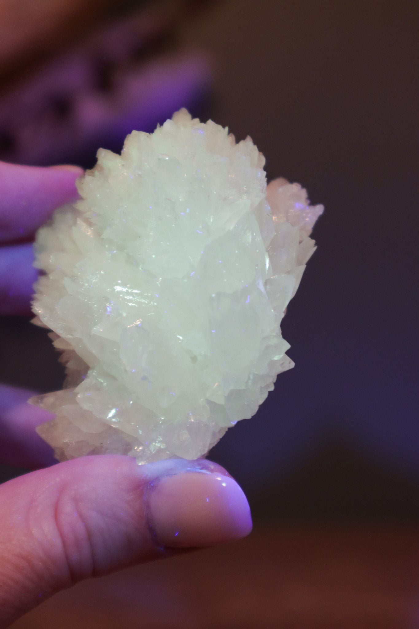 Snow White Aragonite 