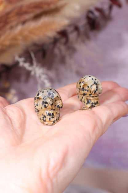 Dalmatian Jasper Skulls 2cm