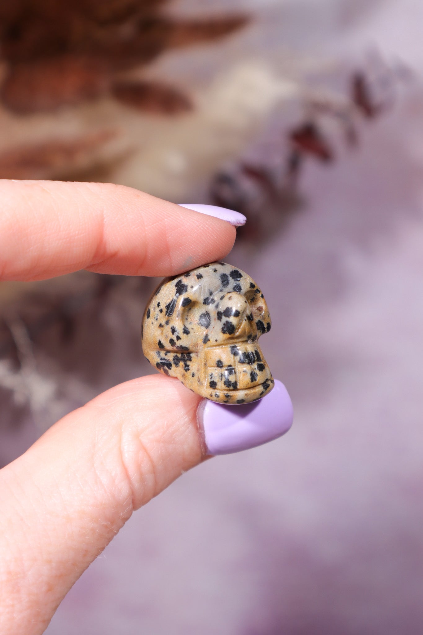 Dalmatian Jasper Skulls 2cm