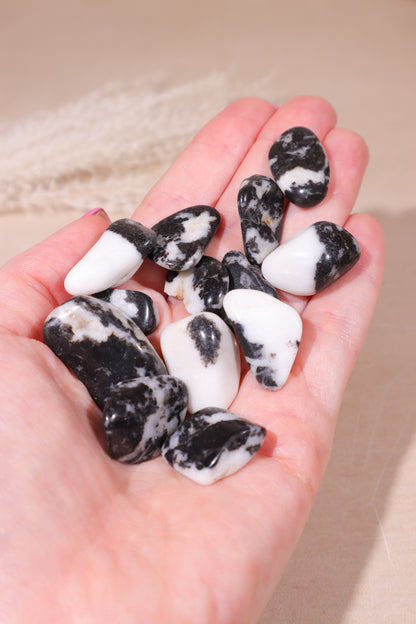 Zebra Agate Tumblestones 20-30mm