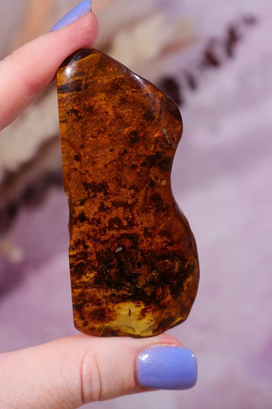 Amber 18.5gr Baltic Rough Crystals Tali & Loz Crystals