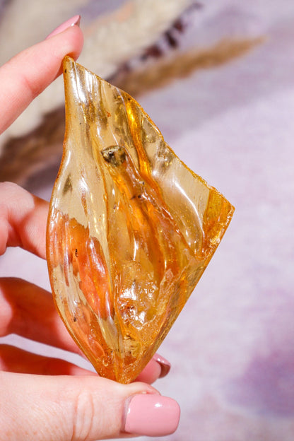 Amber Rough Pieces Rough Crystals Tali & Loz