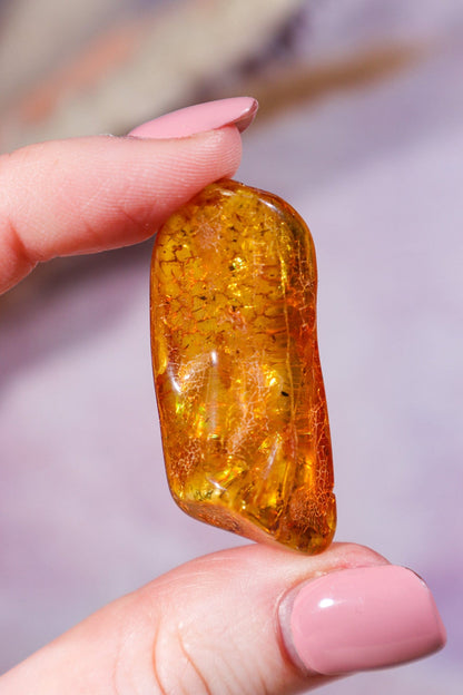 Amber 4.6gr India Rough Crystals Tali & Loz Crystals