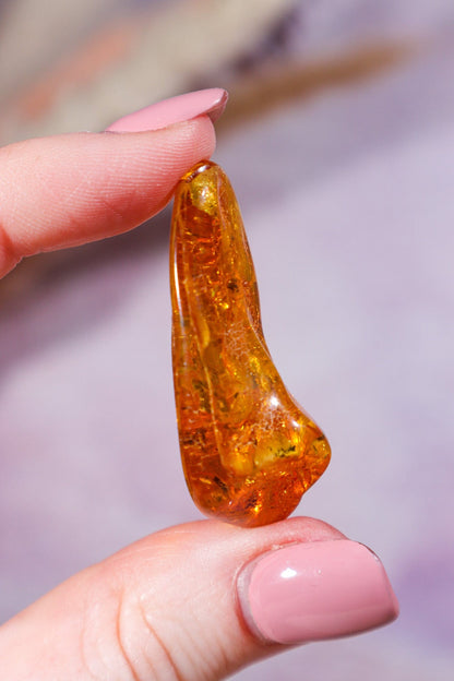 Amber 4.6gr India Rough Crystals Tali & Loz Crystals