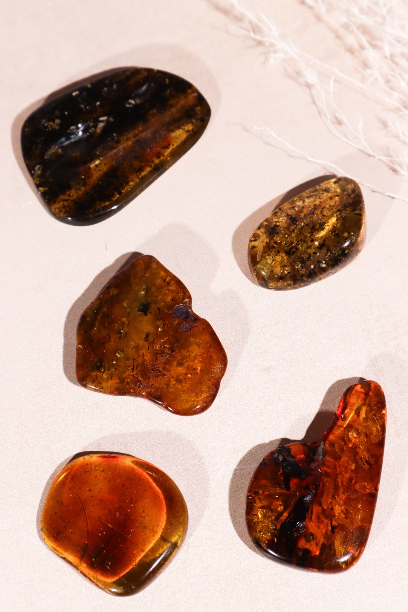 Amber 5.5gr Baltic Rough Crystals Tali & Loz Crystals