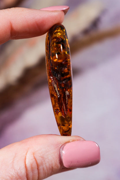 Amber 6.7gr Baltic Rough Crystals Tali & Loz Crystals