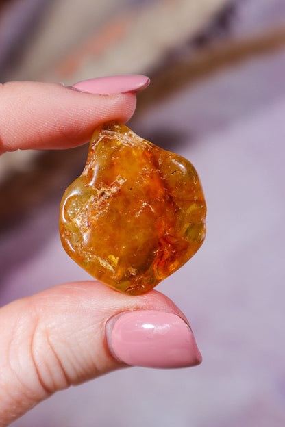 Amber 9.6gr India Rough Crystals Tali & Loz Crystals