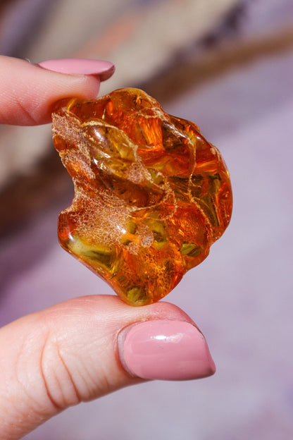 Amber 9.6gr India Rough Crystals Tali & Loz Crystals