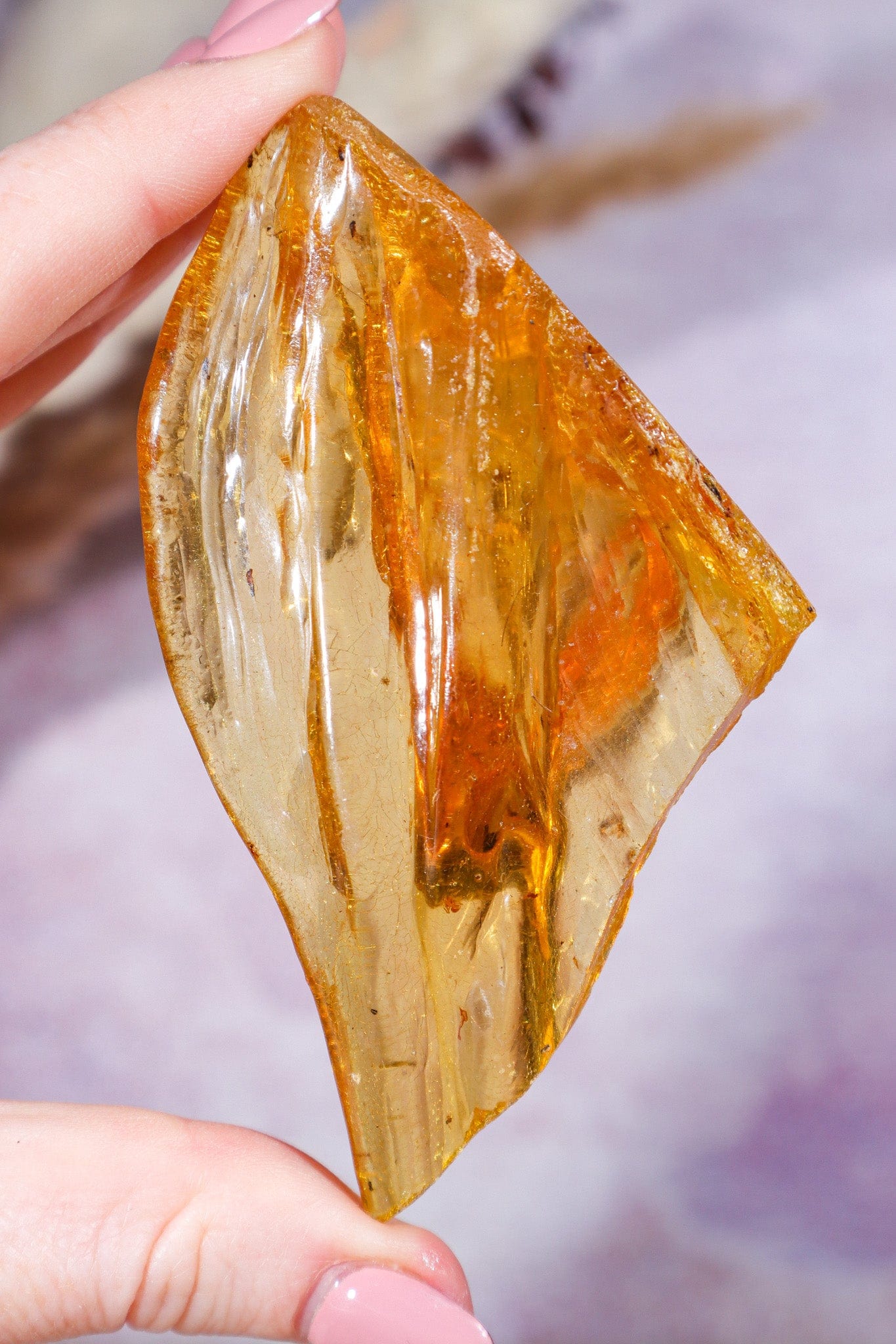 Amber Rough Pieces Rough Crystals Tali & Loz