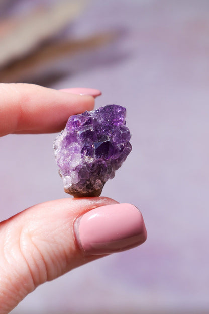 Amethyst Druzy 15-30mm Druzy Tali & Loz Crystals