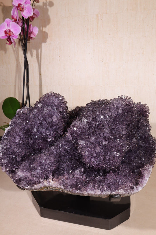 Amethyst Statement Piece 16.5kg Uruguay Druzy Tali & Loz Crystals