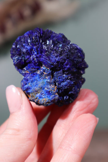 Azurite Specimen 72gr Specimens Tali & Loz Crystals