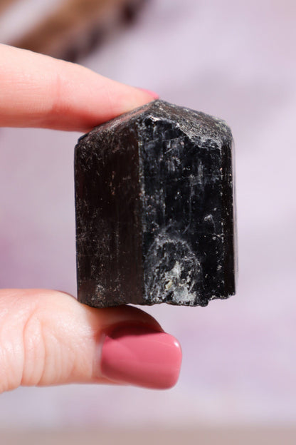 Black Tourmaline Rough Rough Crystals Small Tali & Loz