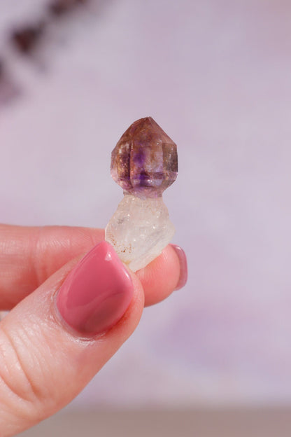 Brandberg Amethyst Scepter 2.5cm Rocks & Fossils Tali & Loz Crystals