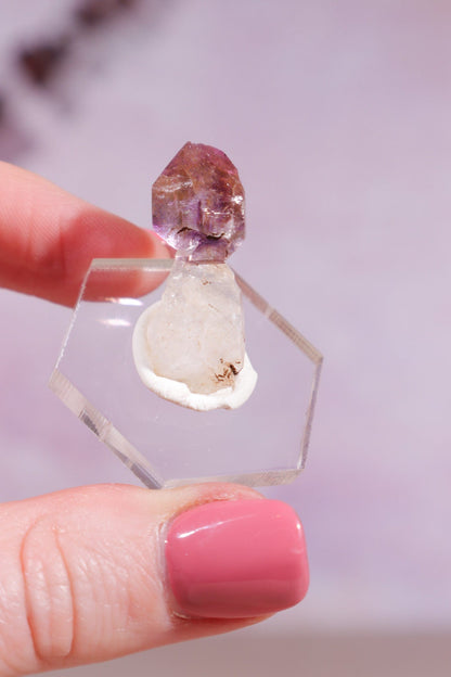 Brandberg Amethyst Scepter 2.5cm Rocks & Fossils Tali & Loz Crystals