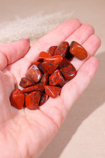 Brecciated Jasper Tumblestones 10-25mm Tumblestones Tali & Loz Crystals