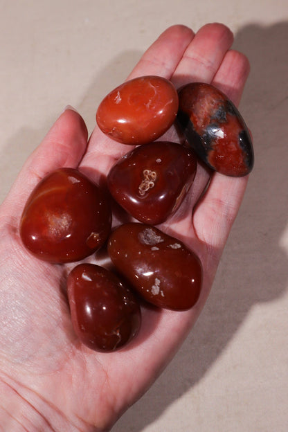 Carnelian Tumblestones Large 30-40 mm Tumblestones Tali & Loz