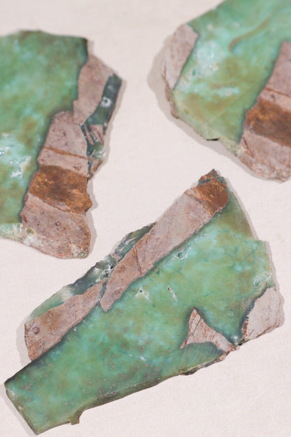 Chrysoprase Slice 39.2g Slices Tali & Loz