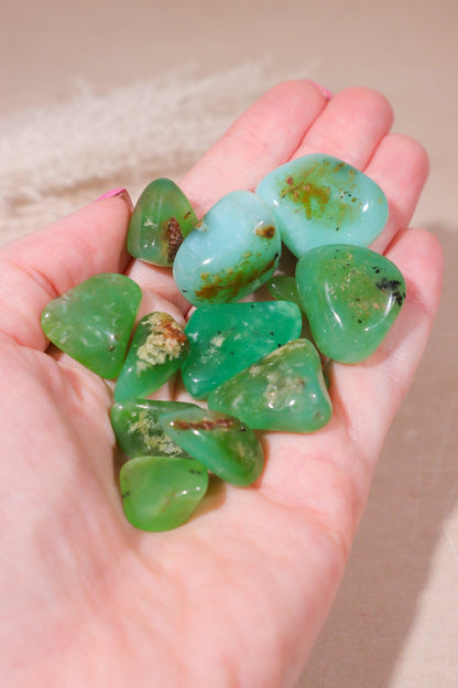 Chrysoprase Tumblestones 20-30mm Tumblestones Tali & Loz Crystals