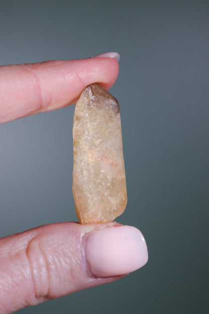 Citrine Points (Natural) Points Tali & Loz Crystals