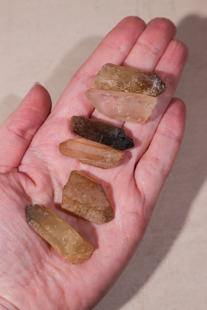 Citrine Points (Natural) Points Tali & Loz Crystals