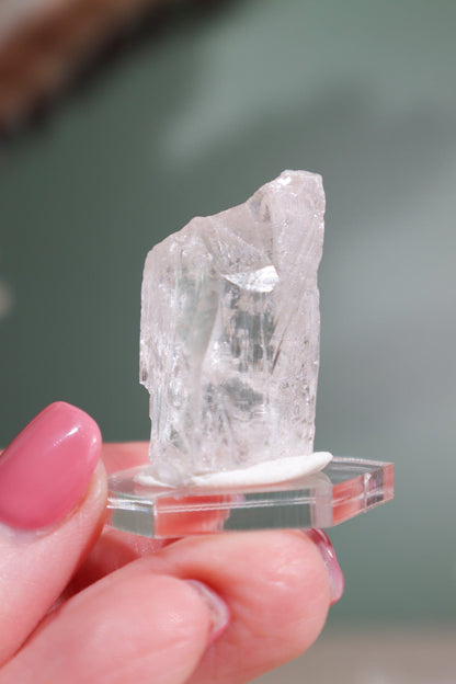 Clear Danburite Specimen 13gr Specimens Tali & Loz Crystals