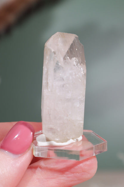 Clear Danburite Specimen 16.1gr Specimens Tali & Loz Crystals