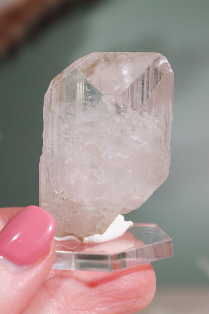 Clear Danburite Specimen 30.8gr Specimens Tali & Loz Crystals