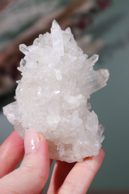 Clear Quartz Clusters Clusters Tali & Loz