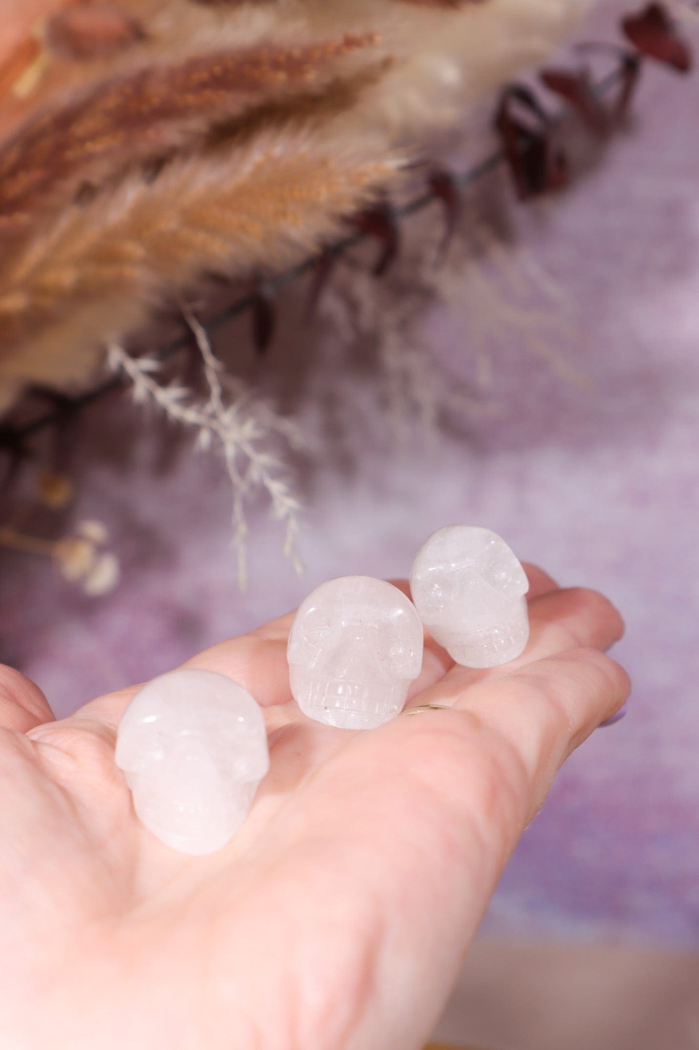 Clear Quartz Skulls 2cm Skulls Tali & Loz Crystals