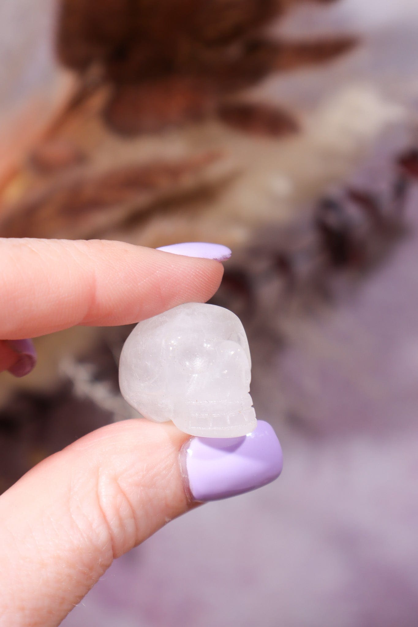 Clear Quartz Skulls 2cm Skulls Tali & Loz Crystals