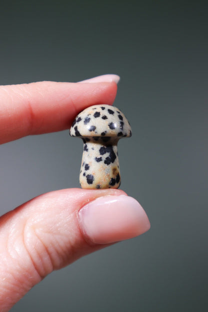 Dalmatian Jasper Mushrooms 20mm Mushrooms Tali & Loz