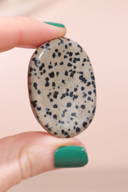 Dalmatian Jasper Palmstones Palm Stones Tali & Loz