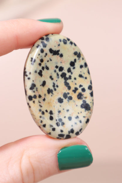 Dalmatian Jasper Palmstones Palm Stones Tali & Loz