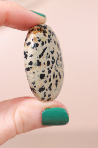 Dalmatian Jasper Palmstones Palm Stones Tali & Loz