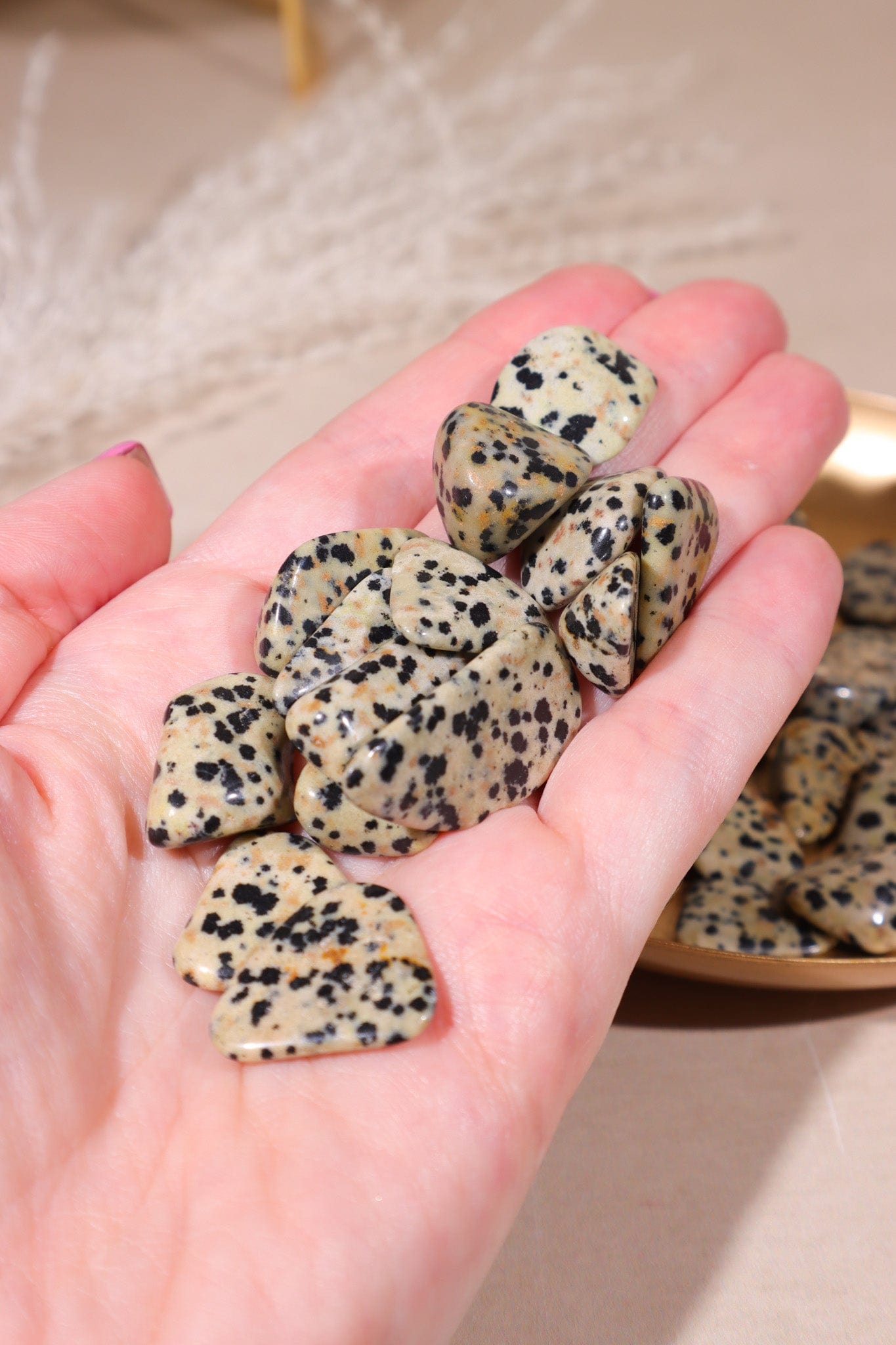 Dalmatian Jasper Tumblestones 20-30mm Tumblestones Tali & Loz Crystals