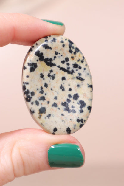 Dalmatian Jasper Worry Stones Palm Stones Tali & Loz