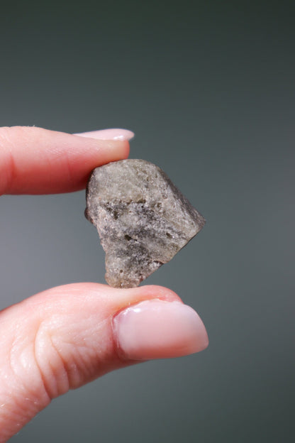 Darwin Glass Tektite Tektites Tali & Loz Crystals