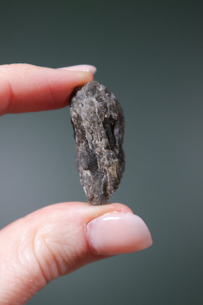 Darwin Glass Tektite Tektites Tali & Loz Crystals