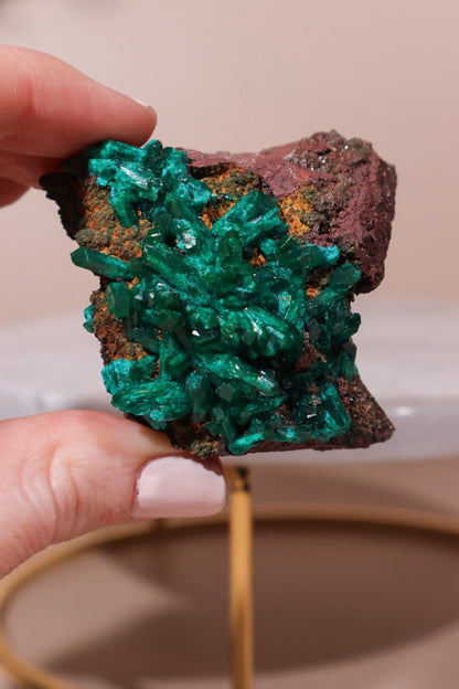 Dioptase Specimen 74gr Specimens Tali & Loz Crystals