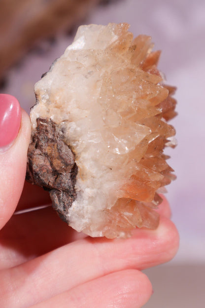 Dogtooth Calcite Specimen 97gr Specimens Tali & Loz Crystals