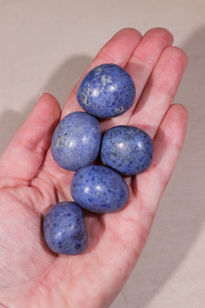 Dumortierite Tumblestones 20-30mm Tumblestones Tali & Loz Crystals