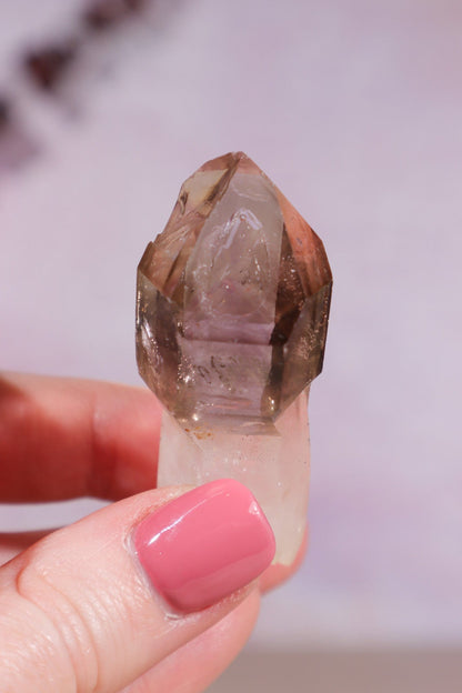 Enhydro Smokey and Amethyst Phantom Scepter 5.5cm Rocks & Fossils Tali & Loz Crystals