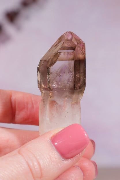 Enhydro Smokey and Amethyst Phantom Scepter 5.5cm Rocks & Fossils Tali & Loz Crystals