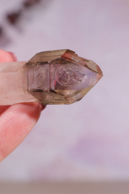 Enhydro Smokey and Amethyst Phantom Scepter 5.5cm Rocks & Fossils Tali & Loz Crystals