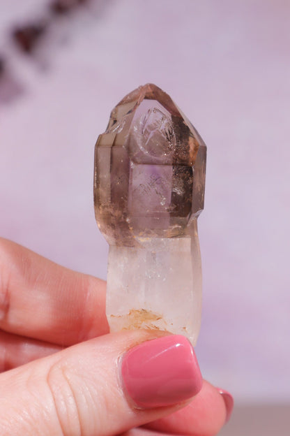 Enhydro Smokey and Amethyst Phantom Scepter 5.5cm Rocks & Fossils Tali & Loz Crystals