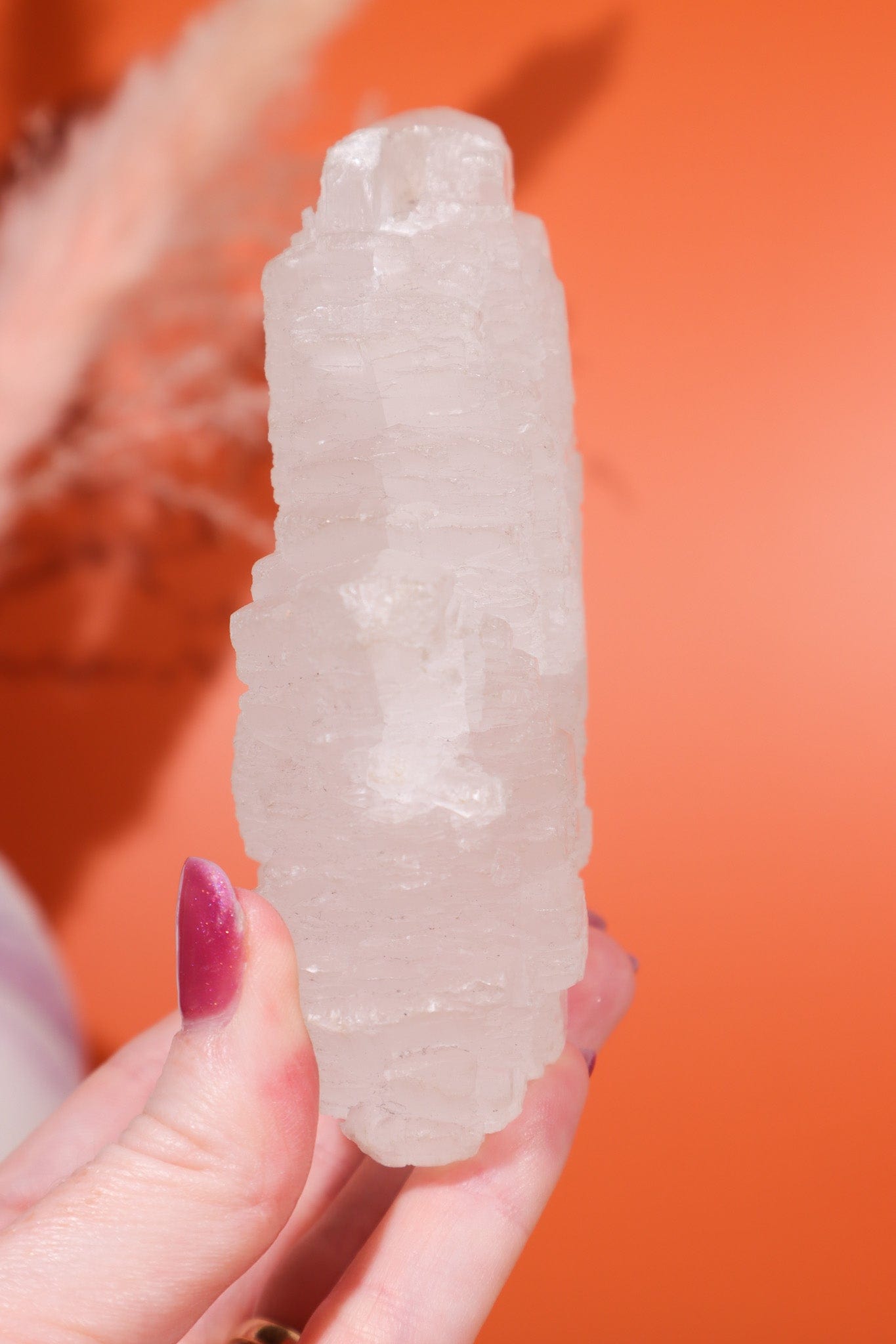 Fishtail Selenite Specimen 363gr Wands Tali & Loz Crystals