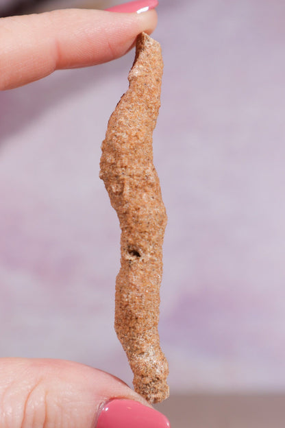 Fulgurite 50-60mm Large Minerals Tali & Loz Crystals